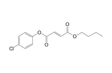 Fumaric acid, butyl 4-chlorophenyl ester