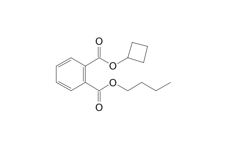 Phthalic acid, butyl cyclobutyl ester