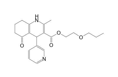 3-quinolinecarboxylic acid, 1,4,5,6,7,8-hexahydro-2-methyl-5-oxo-4-(3-pyridinyl)-, 2-propoxyethyl ester