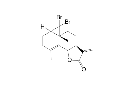 1,10-Dibromomethylene-costunolide