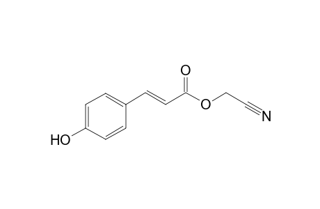 (E)-4-hydroxycinnamic acid Cyanomethylester