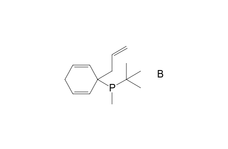 tert-Butylmethyl[3-(prop-2-enyl)cyclohexa-1,4-dien-3-yl]phosphane-Borane