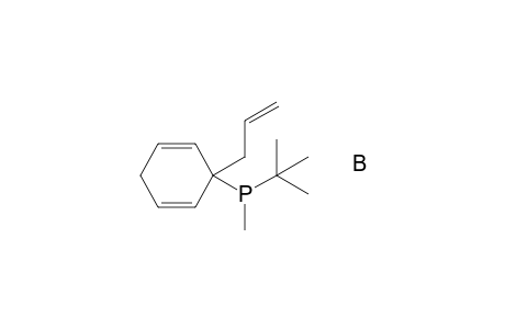 tert-Butylmethyl[3-(prop-2-enyl)cyclohexa-1,4-dien-3-yl]phosphane-Borane