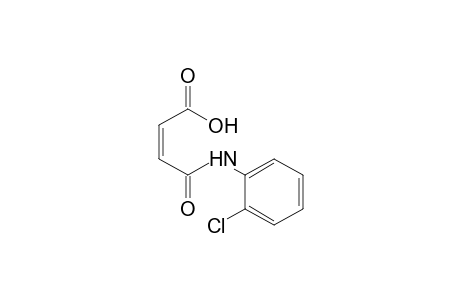 2'-chloromaleanilic acid