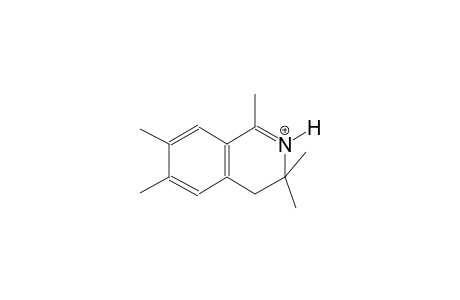 1,3,3,6,7-pentamethyl-3,4-dihydroisoquinolinium