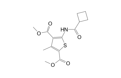 dimethyl 5-[(cyclobutylcarbonyl)amino]-3-methyl-2,4-thiophenedicarboxylate