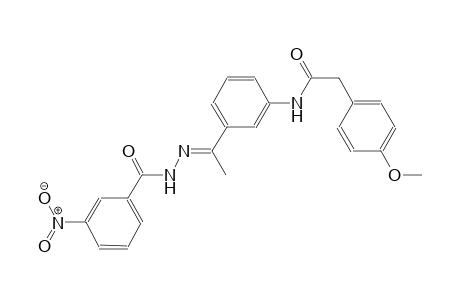 2-(4-methoxyphenyl)-N-{3-[(1E)-N-(3-nitrobenzoyl)ethanehydrazonoyl]phenyl}acetamide
