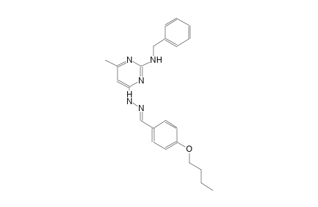 4-butoxybenzaldehyde [2-(benzylamino)-6-methyl-4-pyrimidinyl]hydrazone