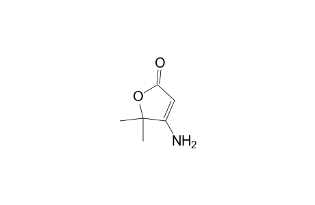 4-Amino-5,5-dimethyl-2-furanone