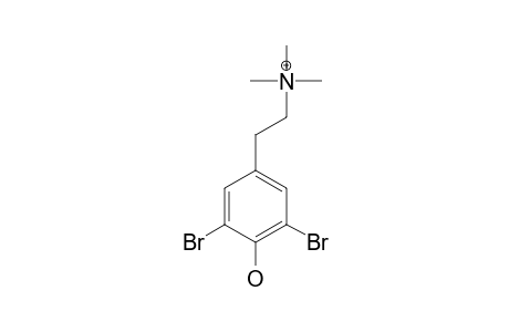 N,N,N-TRIMETHYL-3,5-DIBROMOTYRAMINE
