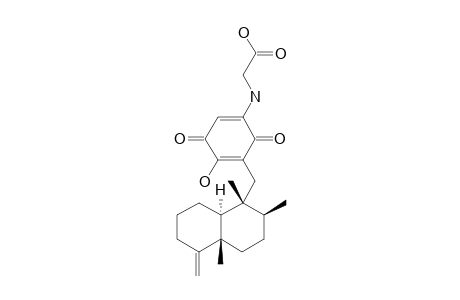 SMENOSPONGINE_B