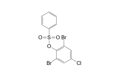 BENZENESULFONIC ACID, 4-CHLORO-2,6-DIBROMOPHENYL ESTER