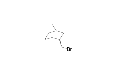 (Z/E)-2-bromomethylene-norbornane