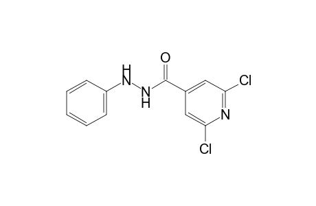 2,6-dichloroisonicotinic acid, 2-phenylhydrazide