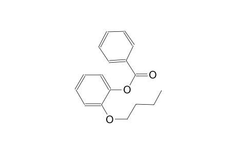 2-butoxyphenyl benzoate