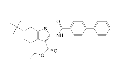 ethyl 2-[([1,1'-biphenyl]-4-ylcarbonyl)amino]-6-tert-butyl-4,5,6,7-tetrahydro-1-benzothiophene-3-carboxylate