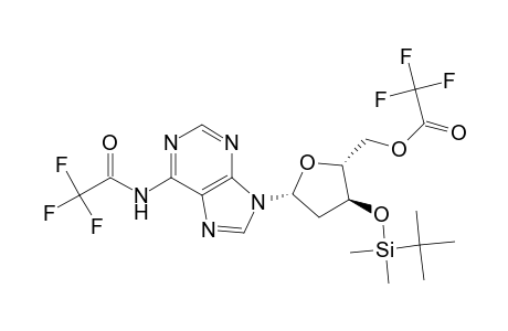 Adenosine, 2'-deoxy-3'-O-[(1,1-dimethylethyl)dimethlsilyl]-N-(trifluoroacetyl)-, 5'-(trifluoroacetate)