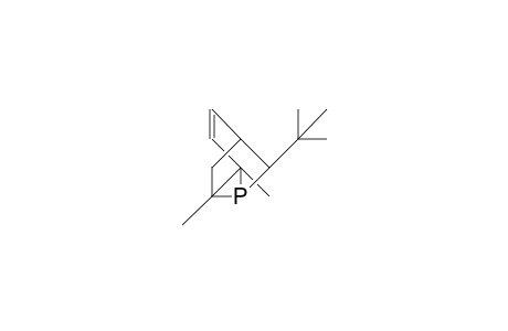 8-tert-Butyl-2,7-dimethyl-tricyclo(3.2.1.0/2,7/)oct-3-ene