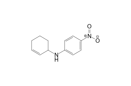 N-(Cyclohex-2-enyl)-4-nitroaniline