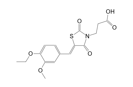 3-[(5Z)-5-(4-ethoxy-3-methoxybenzylidene)-2,4-dioxo-1,3-thiazolidin-3-yl]propanoic acid