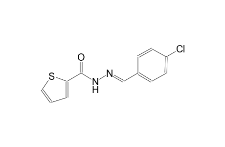 N'-[(E)-(4-chlorophenyl)methylidene]-2-thiophenecarbohydrazide