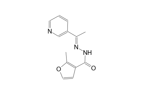 2-methyl-N'-[(E)-1-(3-pyridinyl)ethylidene]-3-furohydrazide