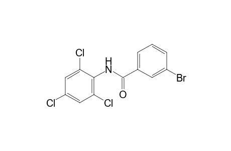 3-bromo-2',4',6'-trichlorobenzanilide