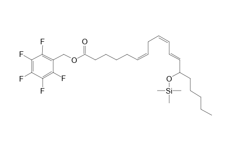 13-hydroxy-(6Z,9Z,11E)-octadecatrienoic acid, PFB,TMS derivative