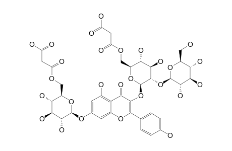 KAEMPFEROL-3-O-BETA-[(6-O-MALONYL)-SOPHOROSIDE]-7-O-BETA-[(6-O-MALONYL)-GLUCOPYRANOSIDE