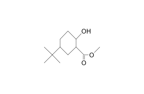 cis-2-Methoxycarbonyl-cis-4-tert-butyl-cyclohexanol