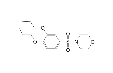 4-[(3,4-dipropoxyphenyl)sulfonyl]morpholine