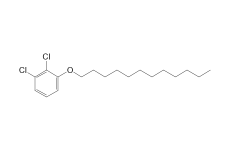 2,3-Dichlorophenyl dodecyl ether