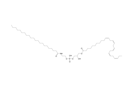 LNAPE 26:5/N-22:0