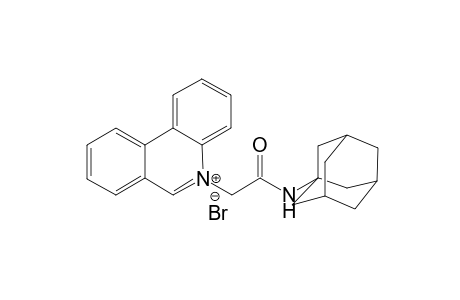 5-{[N-(1'-Adamantyl)carbamoyl]methyl}phenanthridinium bromide