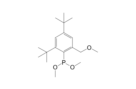 [2,4-ditert-butyl-6-(methoxymethyl)phenyl]-dimethoxy-phosphane