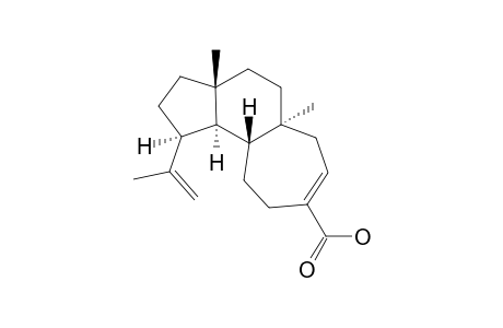 NIGERNIN-B;(3S,4R)-CYATHA-12,18-DIENE-15-OIC-ACID