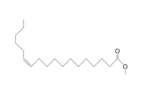 Octadec-(12Z)-enoate <methyl->