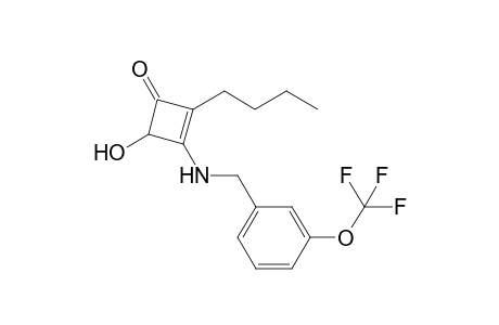 2-butyl-4-hydroxy-3-[[3-(trifluoromethoxy)benzyl]amino]cyclobut-2-en-1-one