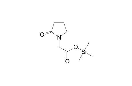 2-Pyrrolidinone acetic acid TMS