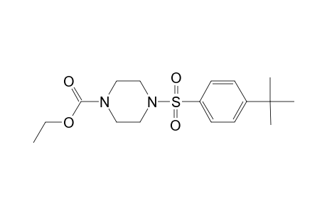 4-(4-tert-butylphenyl)sulfonyl-1-piperazinecarboxylic acid ethyl ester