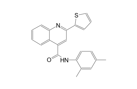 4-quinolinecarboxamide, N-(2,4-dimethylphenyl)-2-(2-thienyl)-
