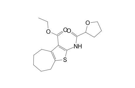 2-[[oxo(2-oxolanyl)methyl]amino]-5,6,7,8-tetrahydro-4H-cyclohepta[b]thiophene-3-carboxylic acid ethyl ester