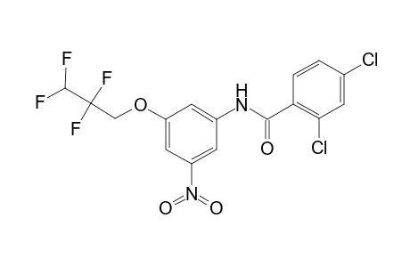Benzamide, 2,4-dichloro-N-[3-(2,2,3,3-tetrafluoropropoxy)-5-nitrophenyl]-
