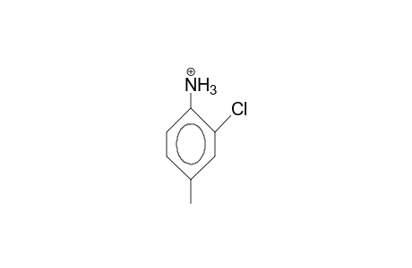 2-Chloro-4-methyl-anilinium cation