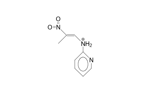 E-1-(2-Pyridylamino)-1-nitro-propene cation