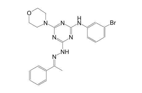 ethanone, 1-phenyl-, [4-[(3-bromophenyl)amino]-6-(4-morpholinyl)-1,3,5-triazin-2-yl]hydrazone, (1E)-
