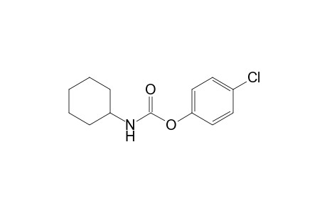 4-Chlorophenyl Cyclohexylcarbamate