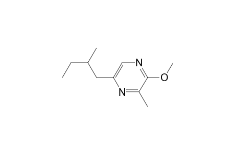 2-Methoxy-3-methyl-5-(2-methylbutyl)pyrazine