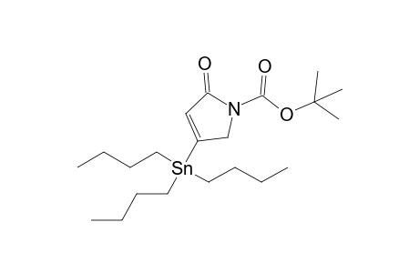 2-keto-4-tributylstannyl-3-pyrroline-1-carboxylic acid tert-butyl ester