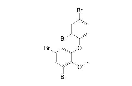 1,5-Dibromo-3-(2,4-dibromophenoxy)-2-methoxy-benzene